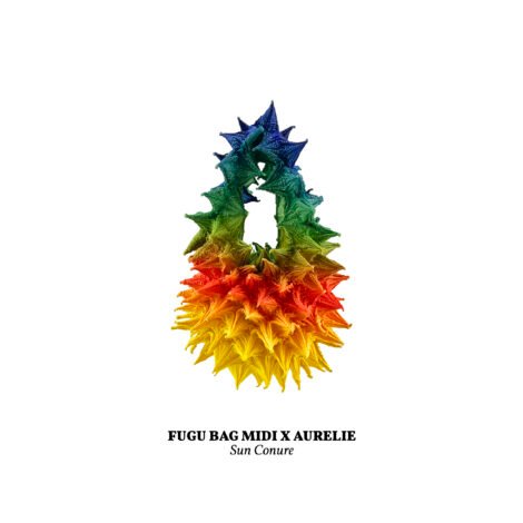 1734365862933_sun_conure__midi_-scaled