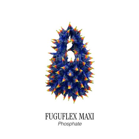 750-fuguflex_maxi__phosphate_-1-scaled