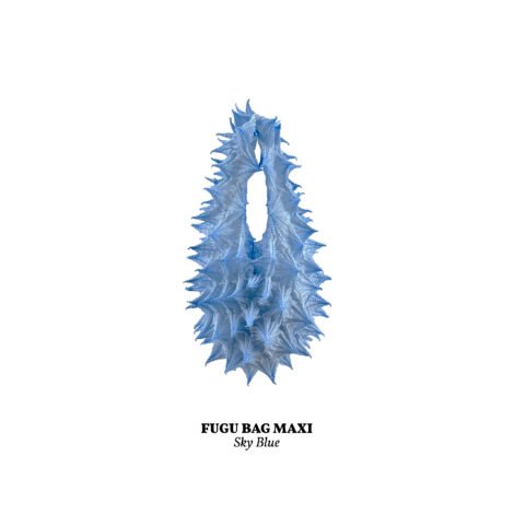 1734365839650_sky_blue__maxi_-scaled